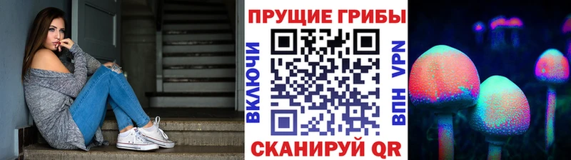 Псилоцибиновые грибы ЛСД  mega ссылка  Саянск 